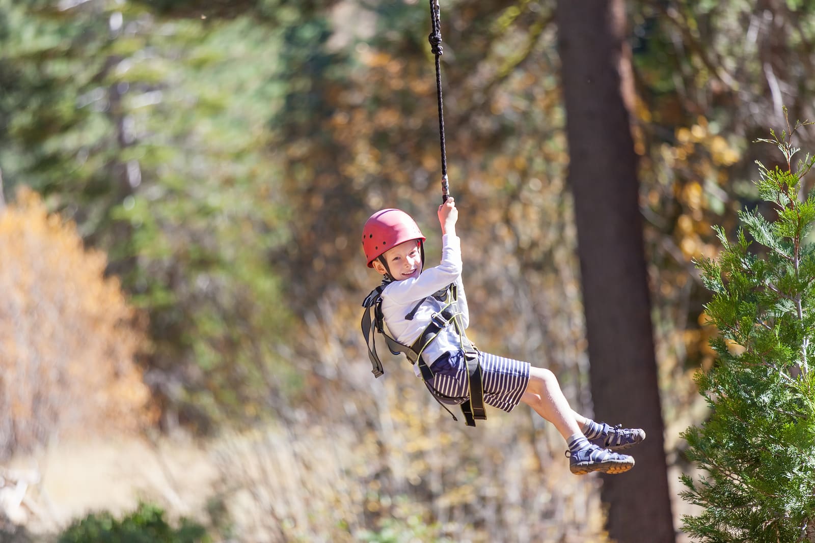 Child ziplining