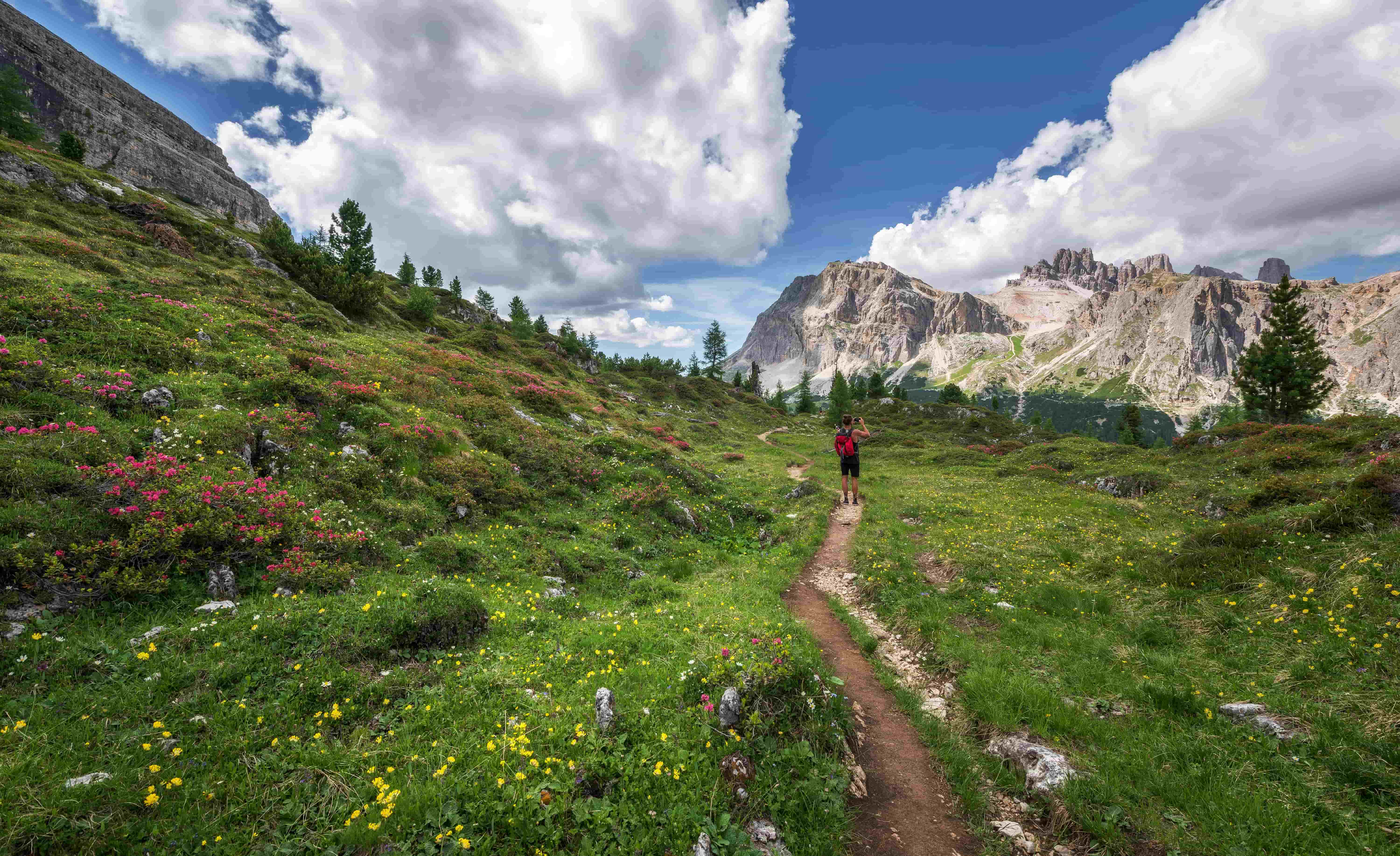 Hiking in alpine meadows