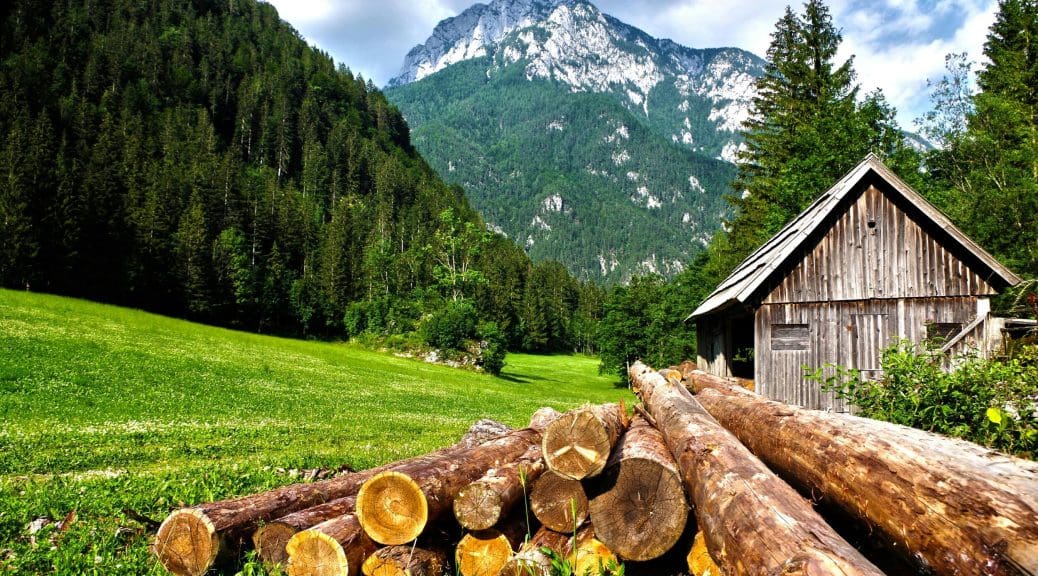 Summer in the Alps