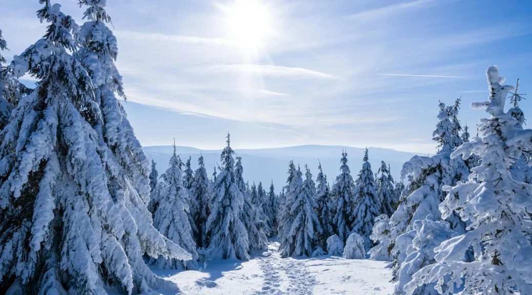 Pexels test image uploaded via MCP