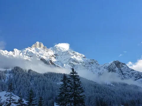 Adelboden Transfers