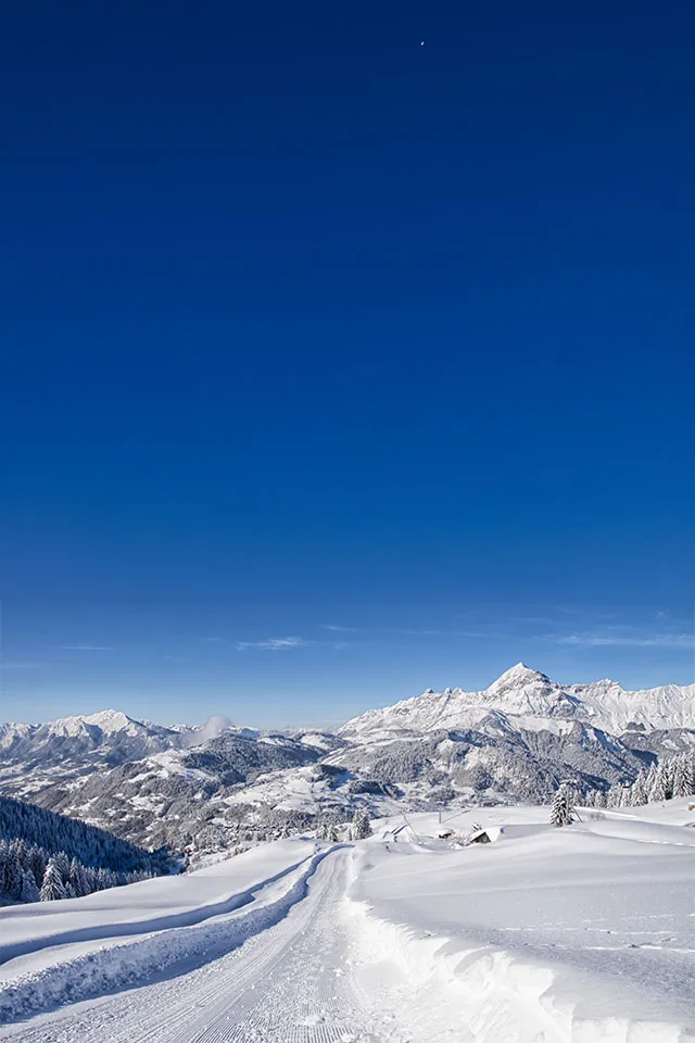 Crest Voland Cohennoz Transfers