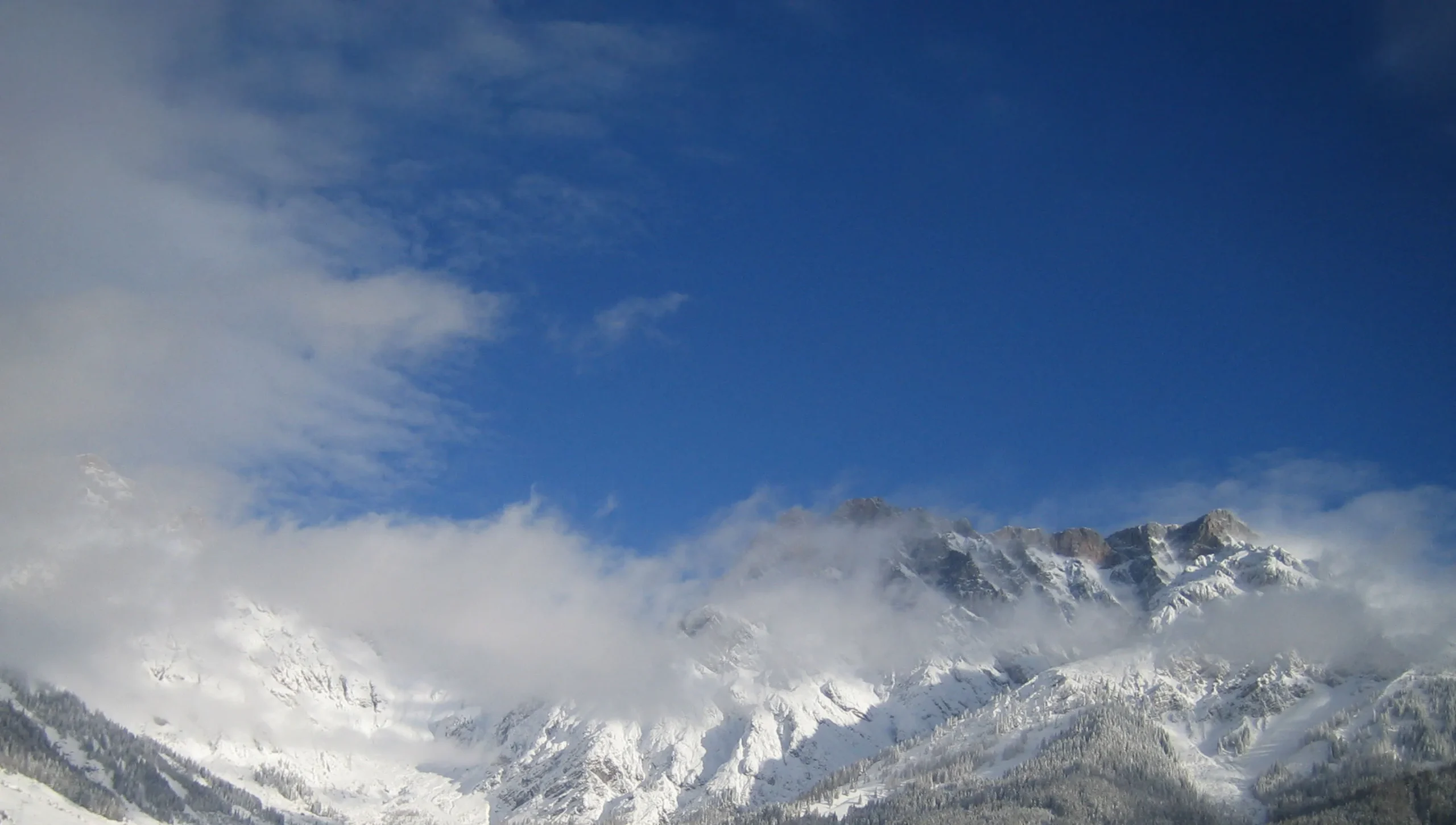 Hinterthal Transfers