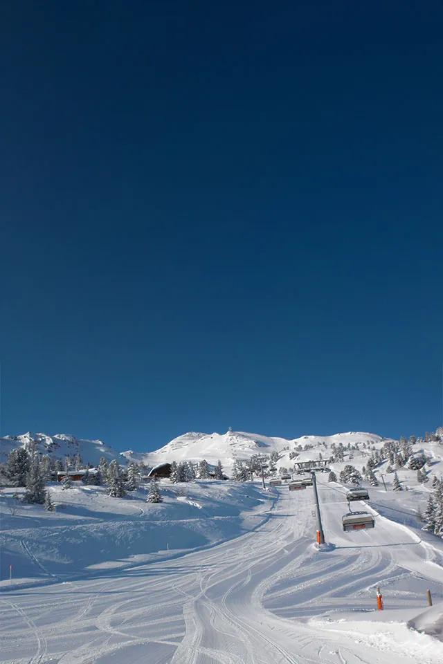 Kaltenbach Transfers