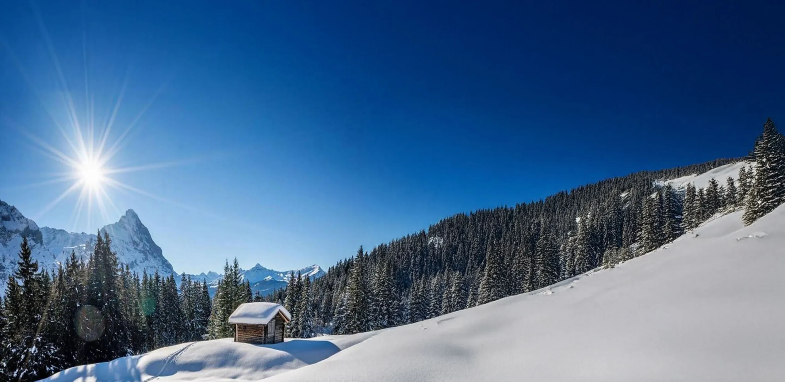 Lally sur Blonay Transfers