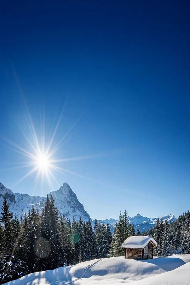 Lally sur Blonay Transfers