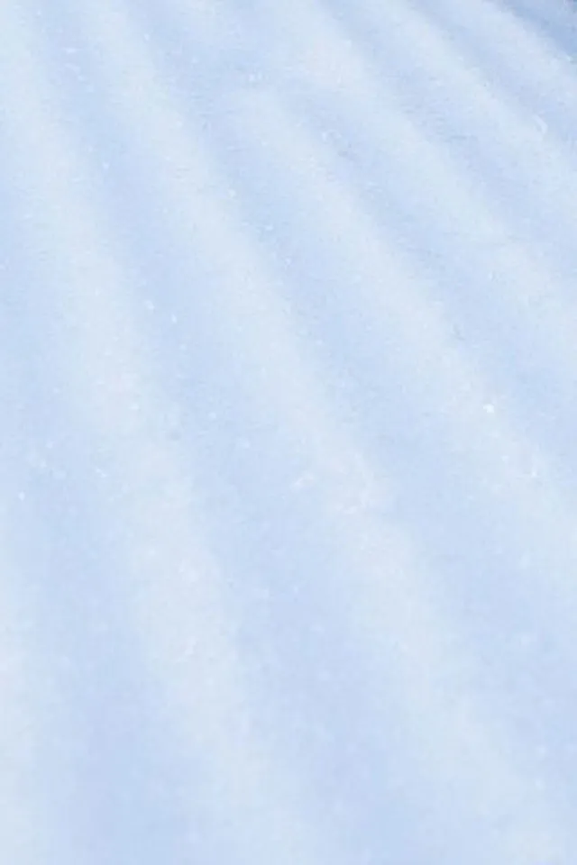 Le Collet d'Allevard Transfers