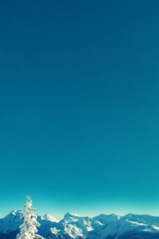 Le Pleynet Transfers