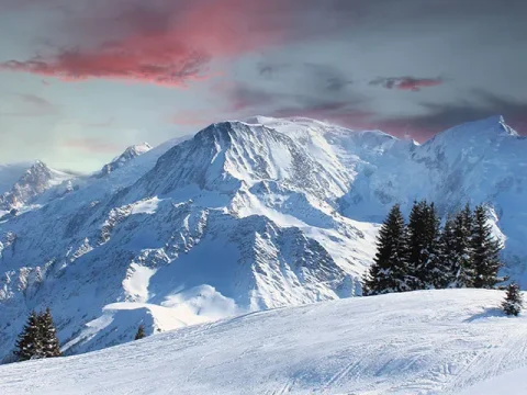  Les Houches Transfers
