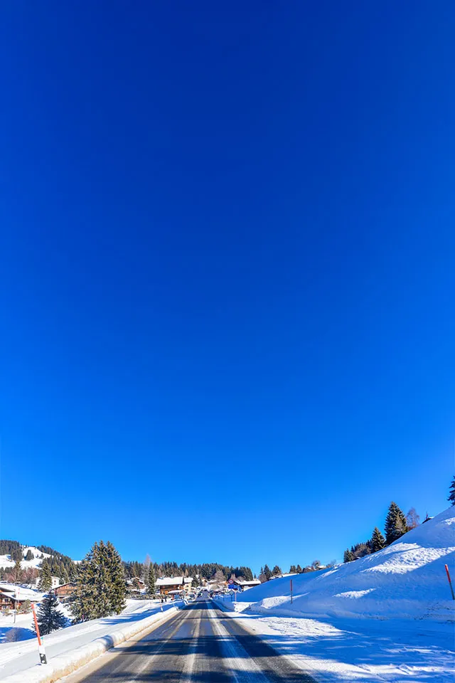 Les Mosses Transfers