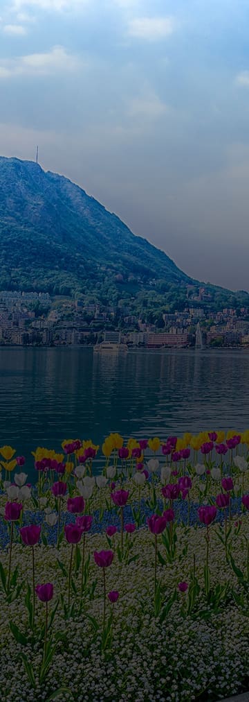 <span class="h1-span-small">Italy</span>