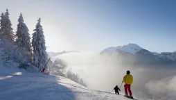 Morzine Transfers - a skier in the snow