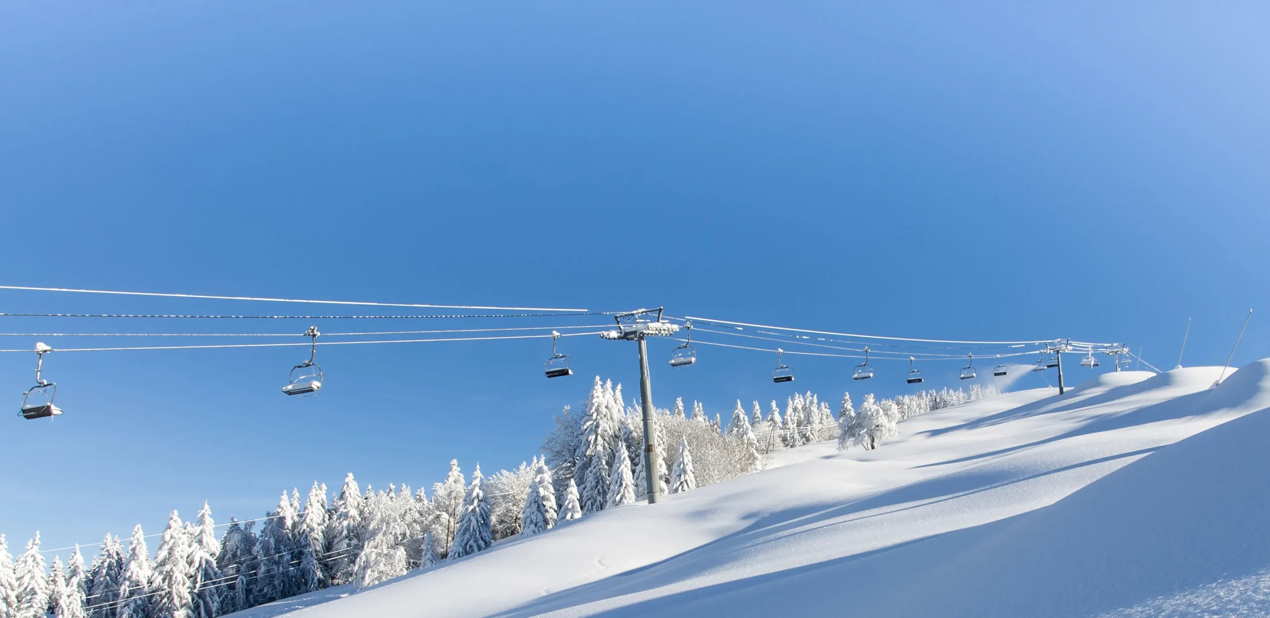 Notre Dame Espace Diamant Transfers