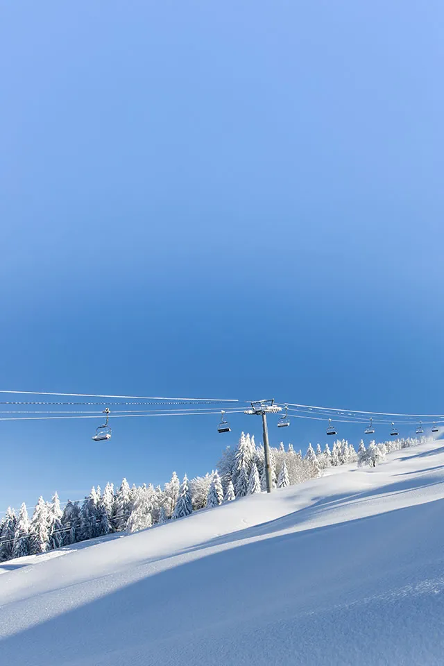 Notre Dame Espace Diamant Transfers