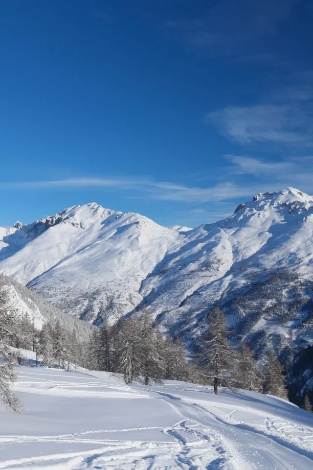 Serre Chevalier Transfers