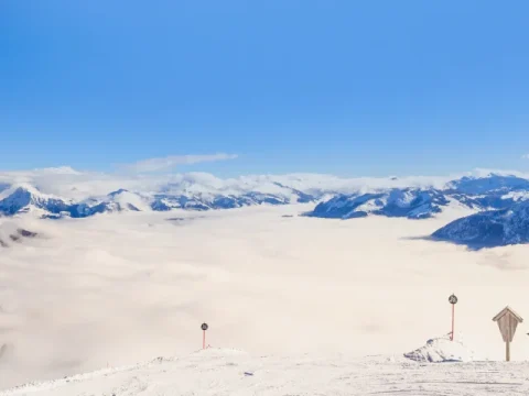Söll Transfers