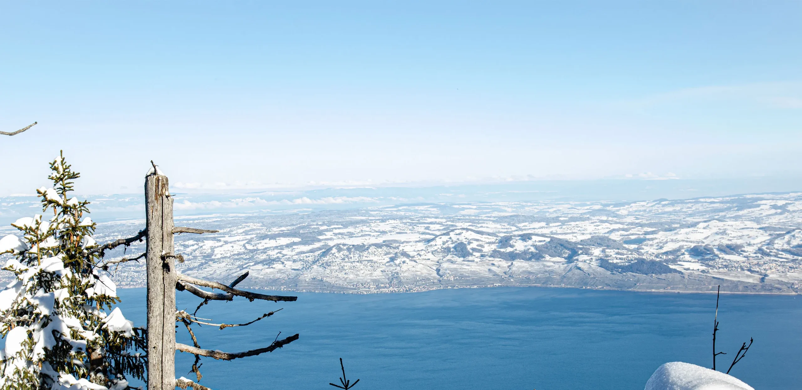 Thollon-les-Mémises Transfers