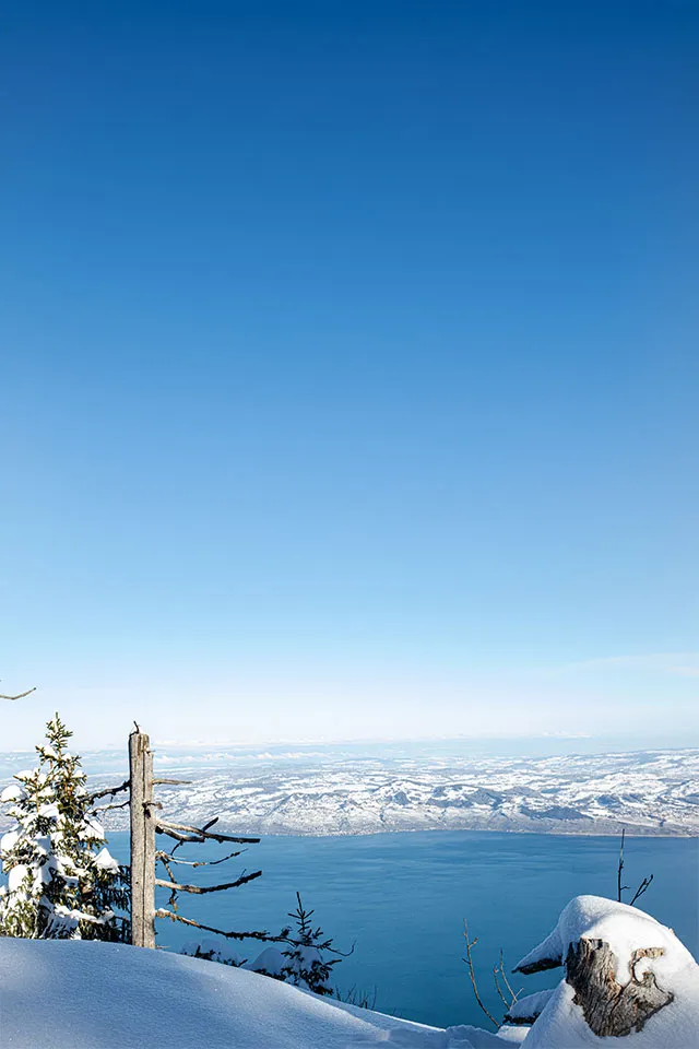 Thollon-les-Mémises Transfers