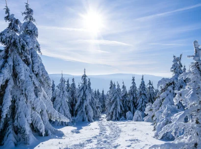 pexels-photo-15510565