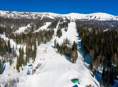 pexels-photo-8413379